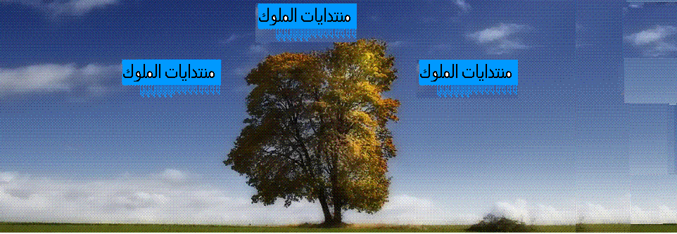 منتدايات الملوكLORDSمنتدايات الملوك