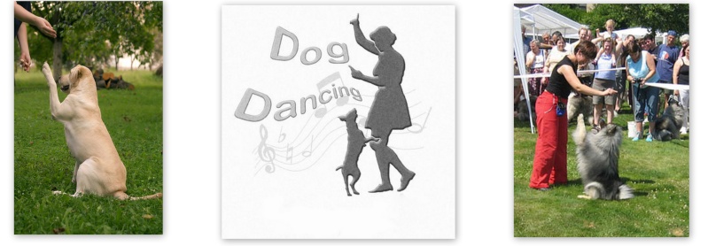 Dog-dancing 