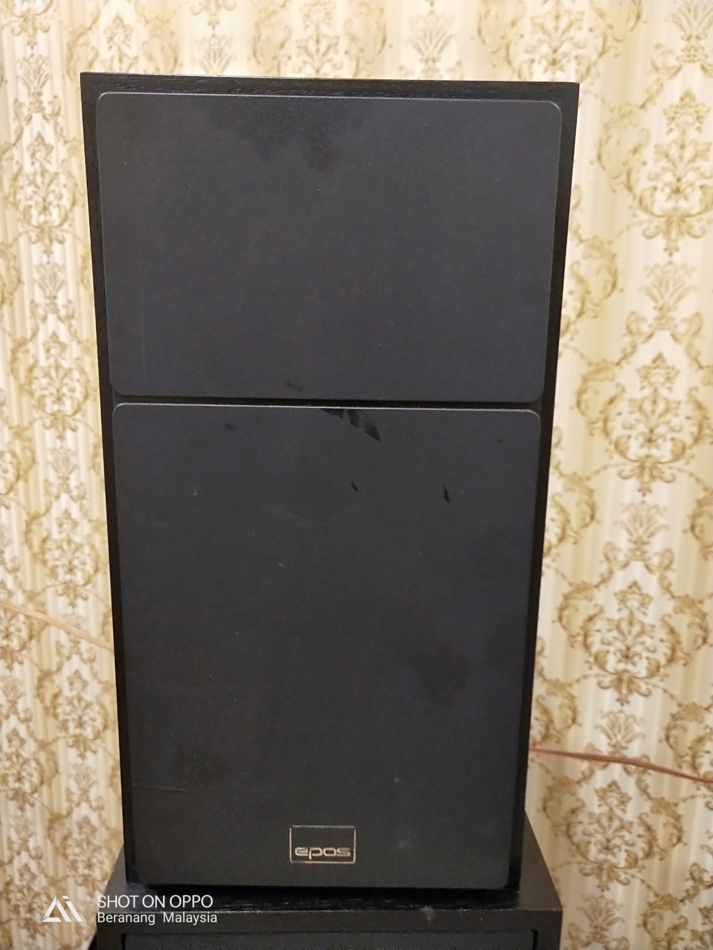 Epos ES 11 loudspeaker( SOLD ) Img20113