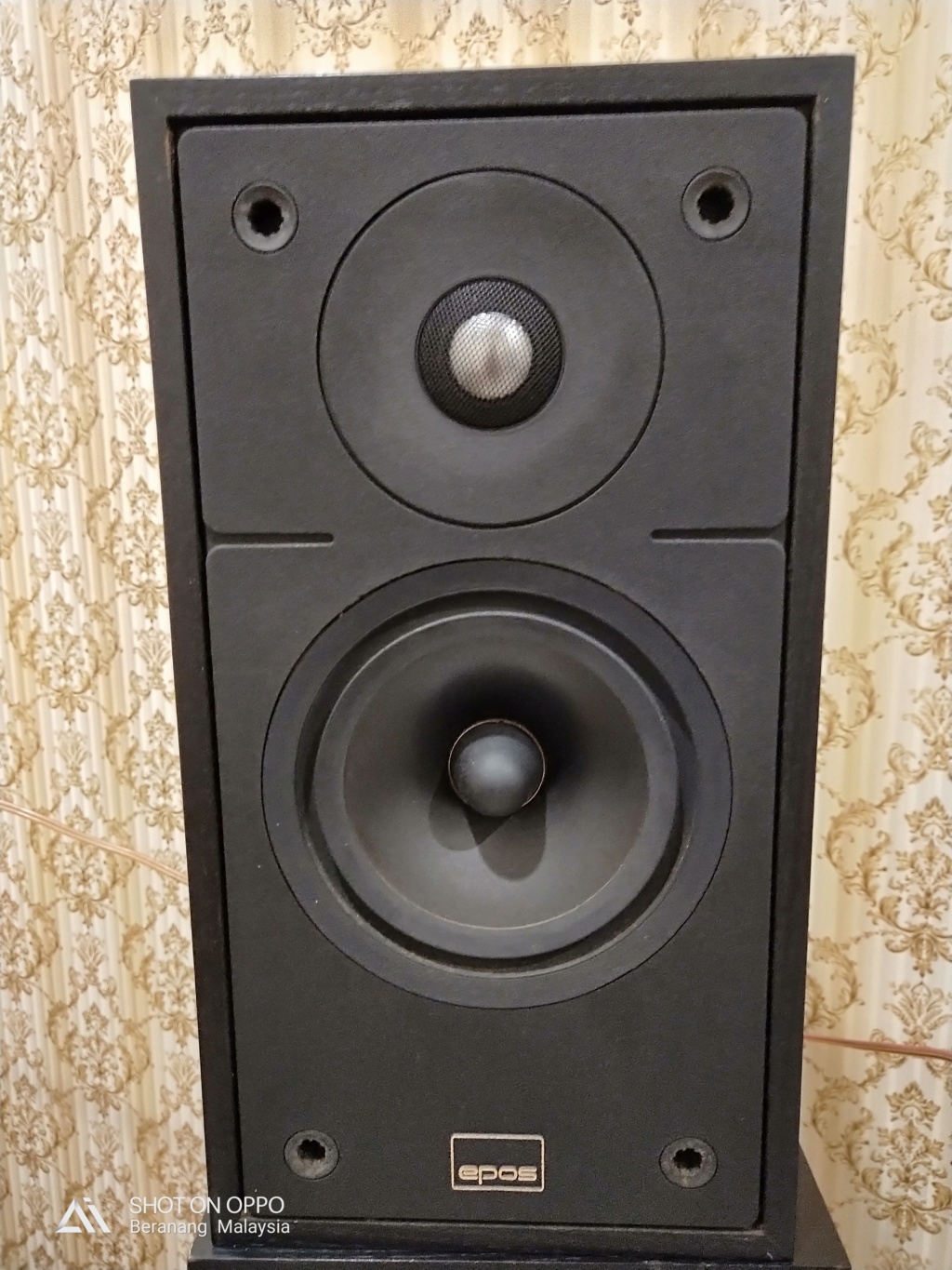 Epos ES 11 loudspeaker( SOLD ) Img20114