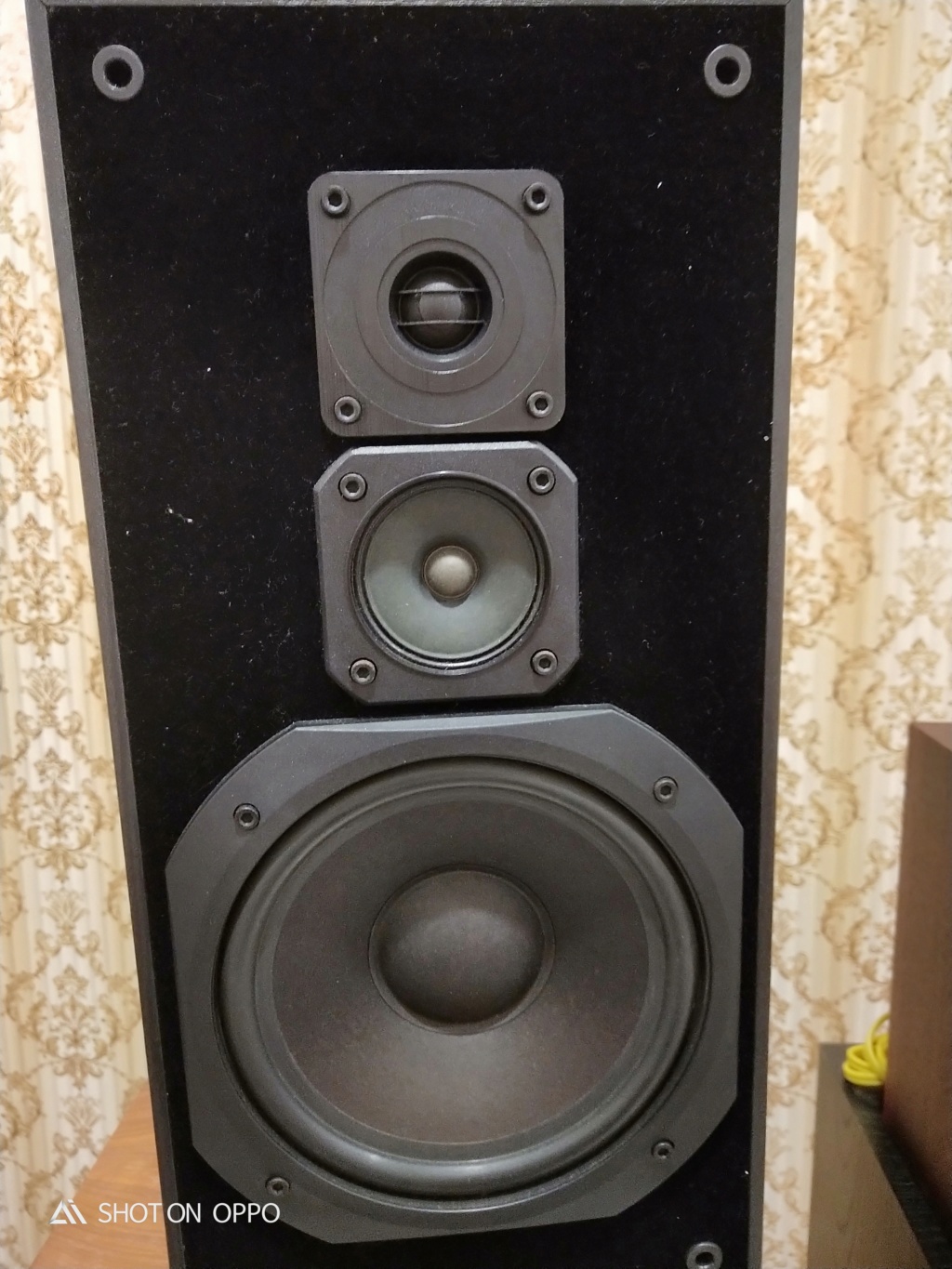 Elac Elx 8070 Speaker (SOLD) Img20126