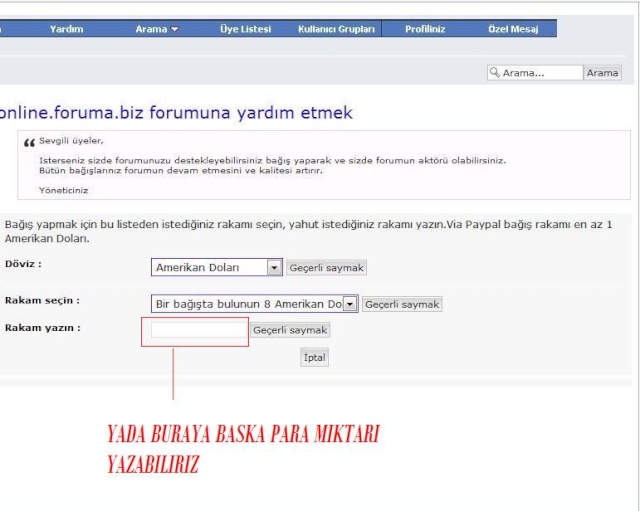 Foruma Destek de NasıL bulunabilirim ? 910