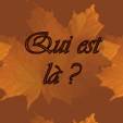 Boutons automne Qui_es11