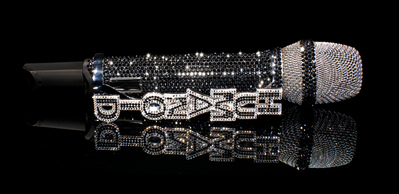 [NET/US/Novembre 2009] (MTV Buzzworthy.com) Le micro incrusté de diamants de Bill Kaulitz. Human10