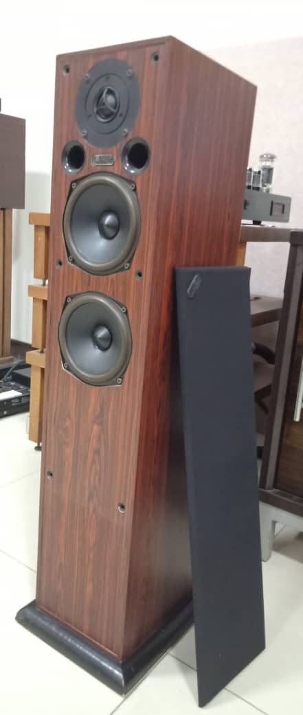 Acoustic Energy AE109 Floor Standing Speakers Ae310