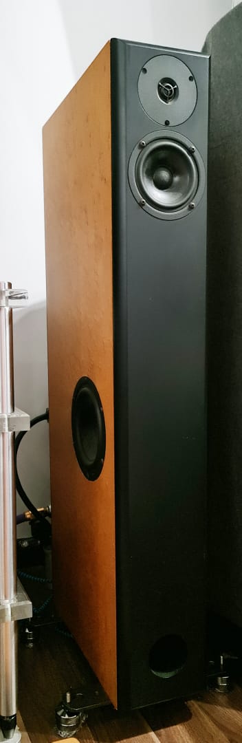 Audio Physic Virgo Floorstand Speakers Audiop19