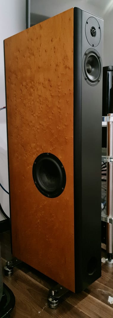 Audio Physic Virgo Floorstand Speakers Audiop22