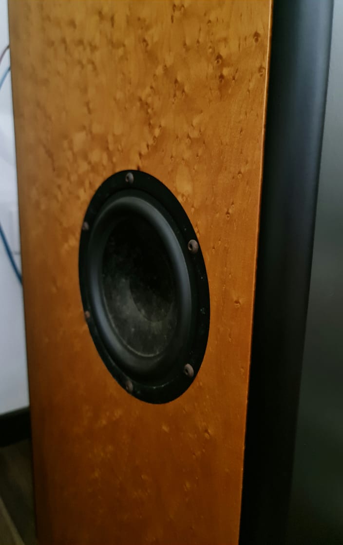 Audio Physic Virgo Floorstand Speakers Audiop23