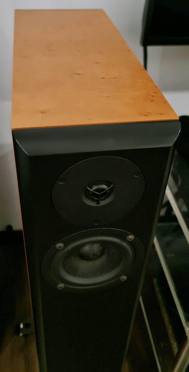 Audio Physic Virgo Floorstand Speakers Audiop24