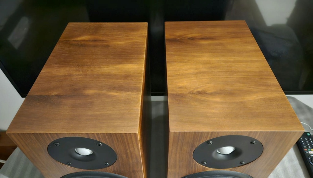 Chario Syntar 516 Bookshelf Speakers Chario41