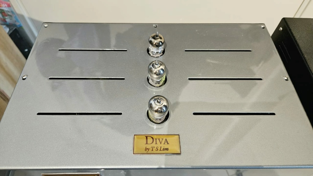 Diva Audio (by TS Lim) Virtuoso iii MM Valve Phono Stage Divats17