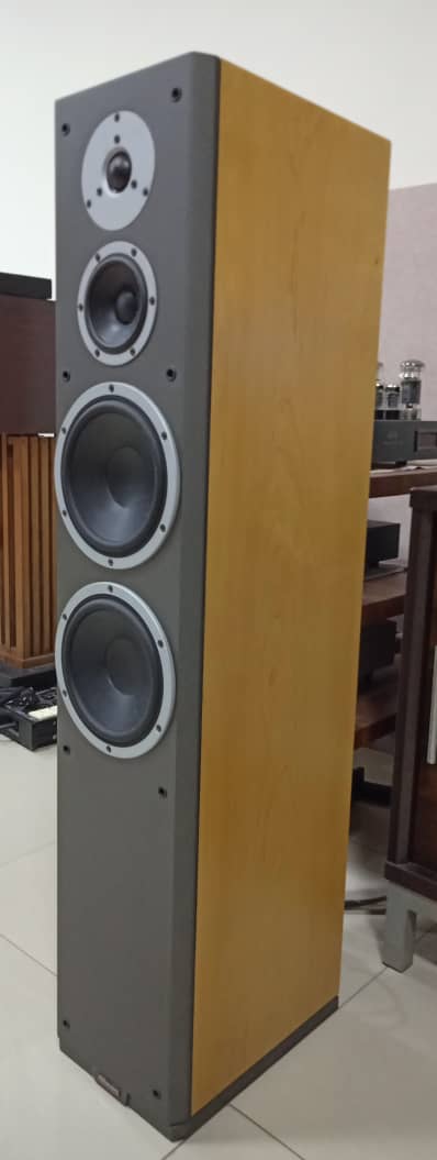 Dynaudio Excite X36 Speakers - Price Reduced Dynaud14