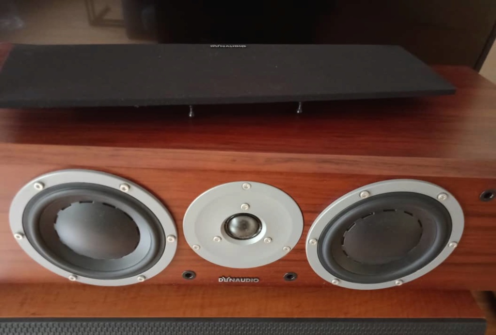 Dynaudio Focus 210C Centre Speakers - Rosewood Focus210