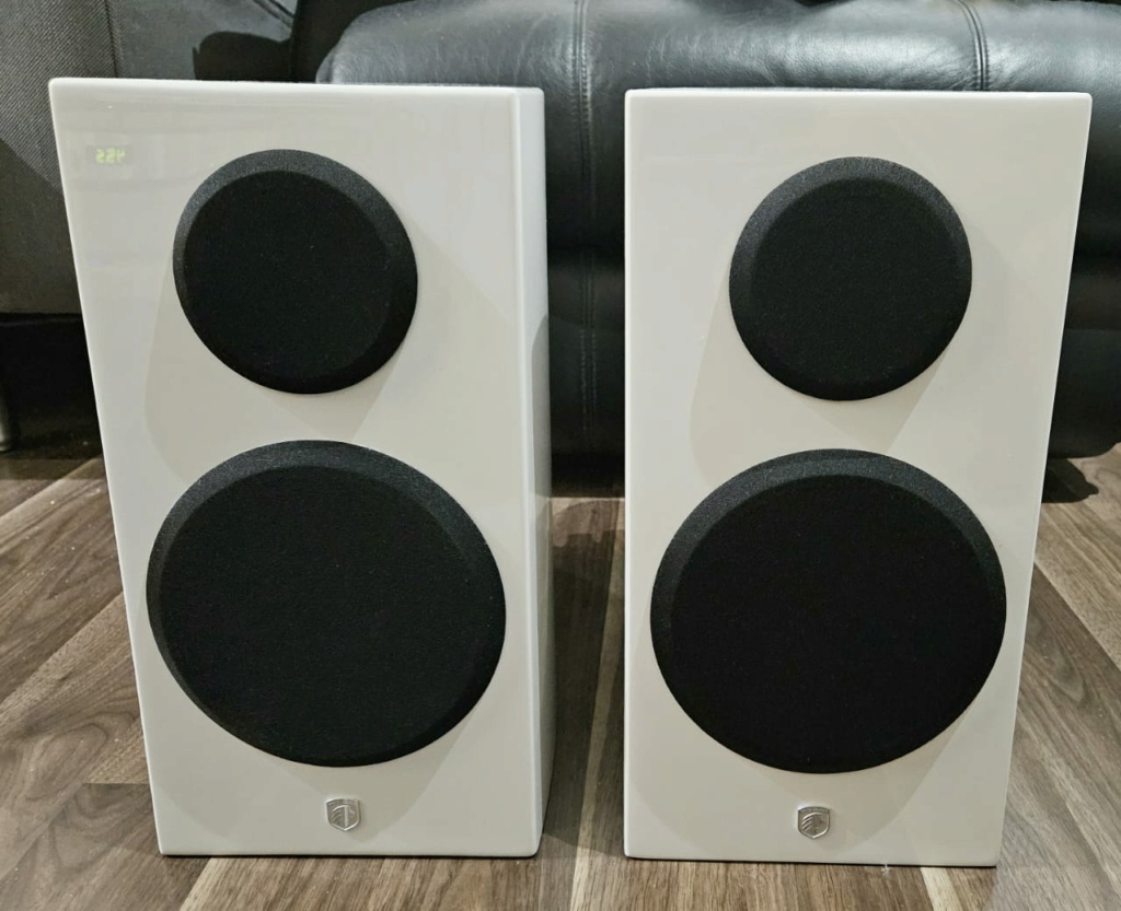 Gato Audio PM-2 Stand-mounted Speakers Gato311