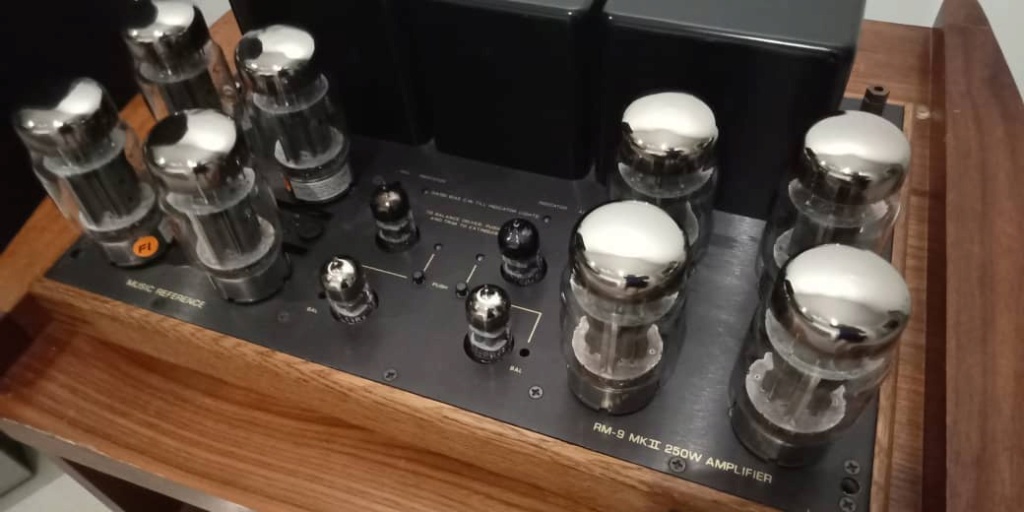 RARE Music Reference RM 9 MKII 250W Power Amplifier by Roger Modjeski R215