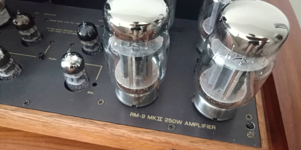 RARE Music Reference RM 9 MKII 250W Power Amplifier by Roger Modjeski R413