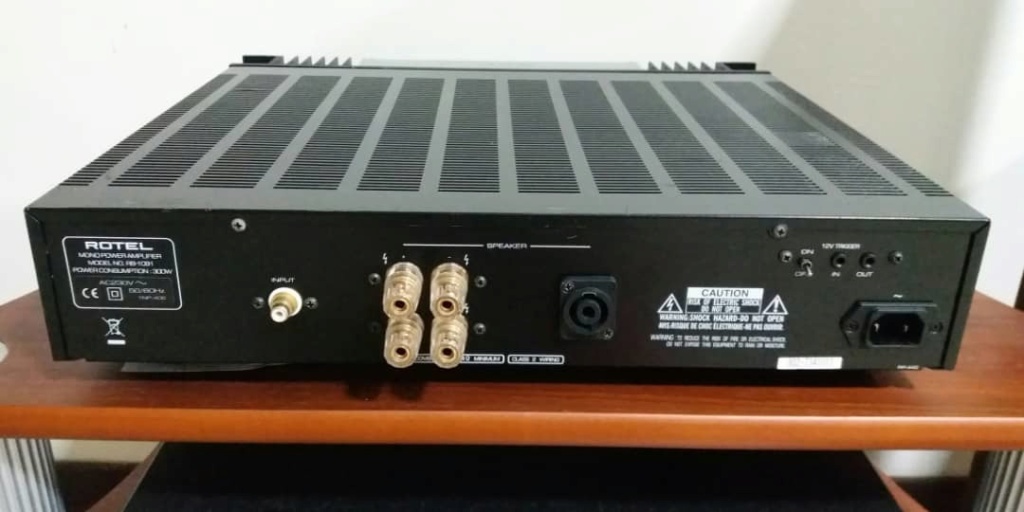ROTEL RB-1091 Monoblock Amplifier 500 watts (1 piece) Rotel310