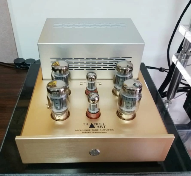 Triangle Art Reference Tube Monoblock Amplifiers Ta110