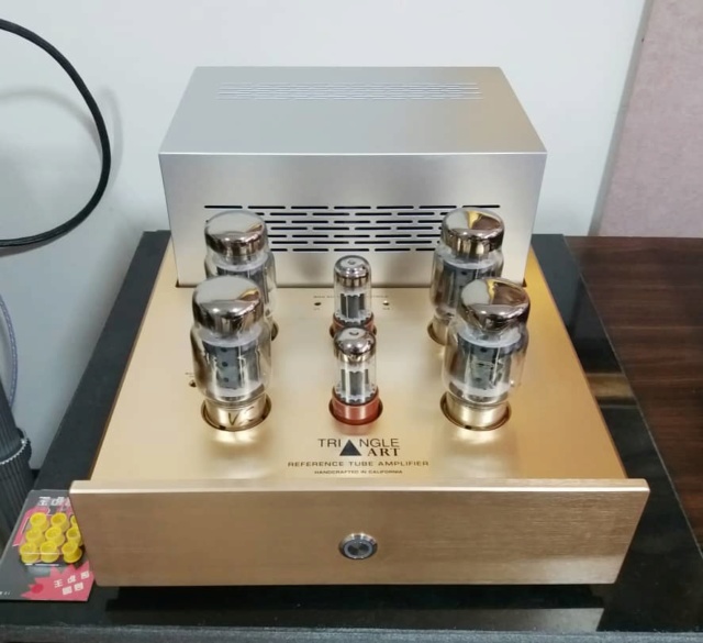 Triangle Art Reference Tube Monoblock Amplifiers Ta210