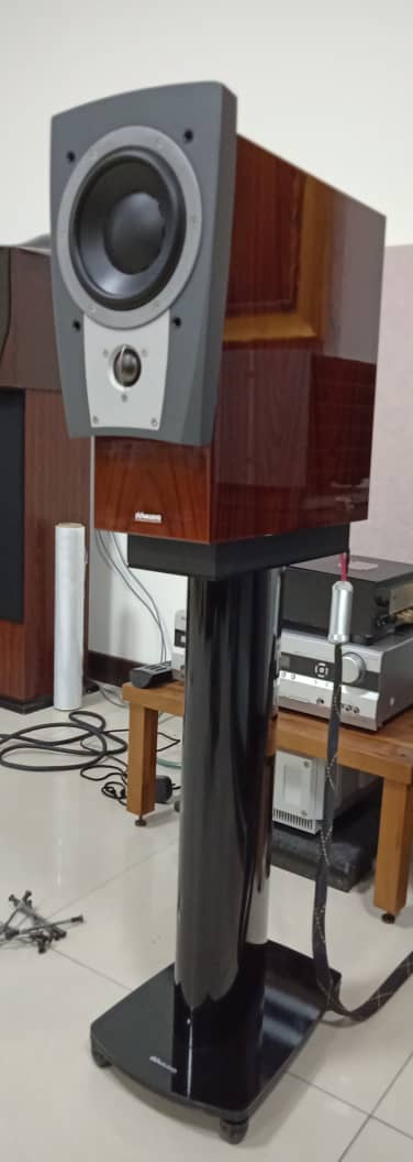 Dynaudio Confidence C1 Speakers with internal cables upgraded to Signature Model X339