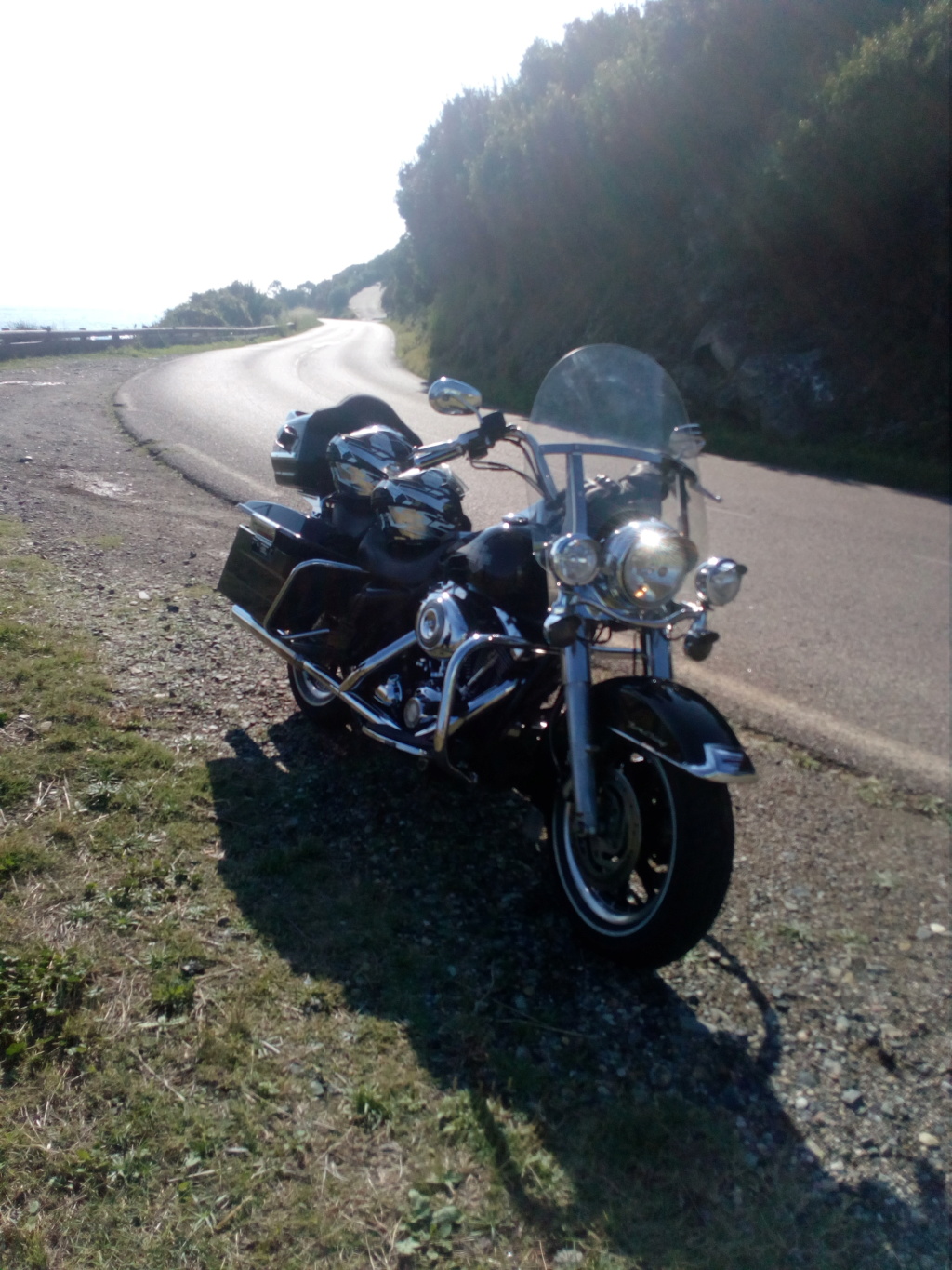 ROAD KING Img_2148