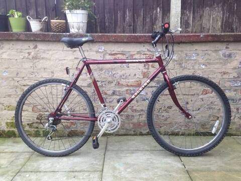 Raleigh Maverick 198
