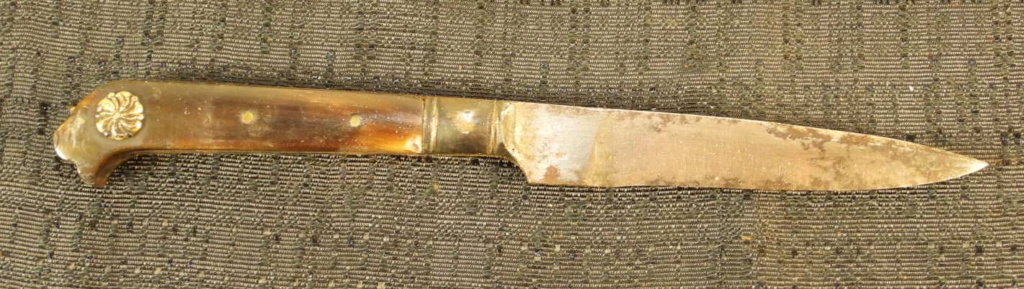 Dague de chasse allemande - "Hirschfanger" début XIXe siècle Dscn8520
