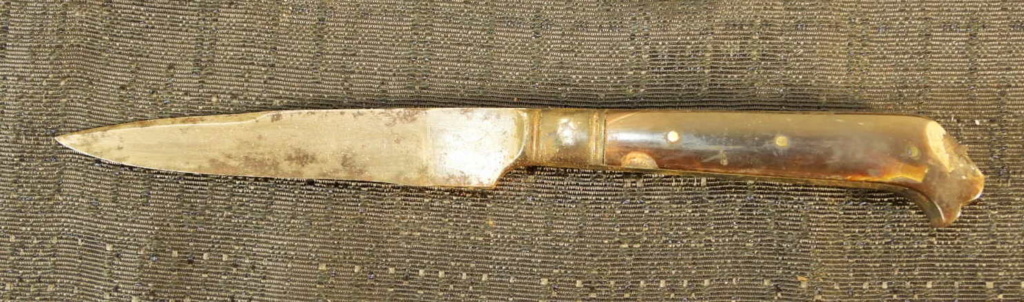 Dague de chasse allemande - "Hirschfanger" début XIXe siècle Dscn8526