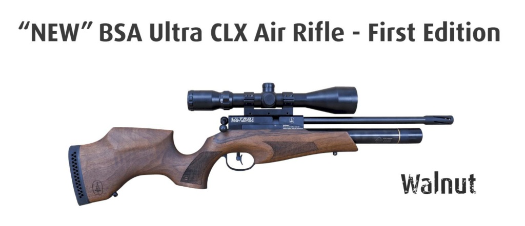 BSA R-10 : 10e anniversaire d'une carabine qui n'a pas fni de se chercher - Page 2 Bsa_ul10