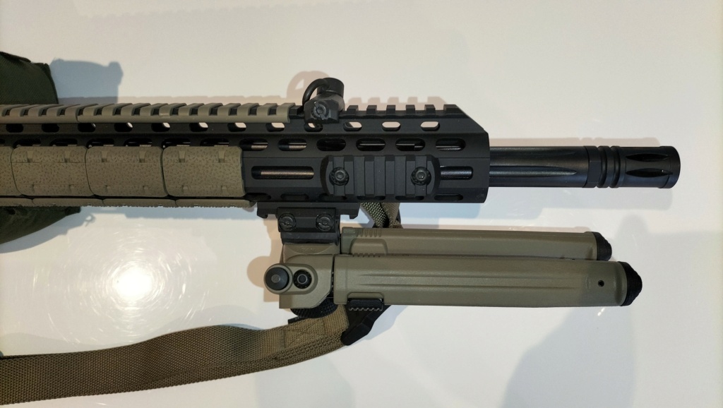 Schmeisser SP15 : un AR-15 à réarmement linéaire Img20675