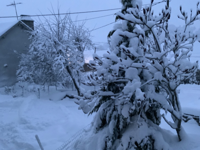 Mardi 8 décembre Neige110