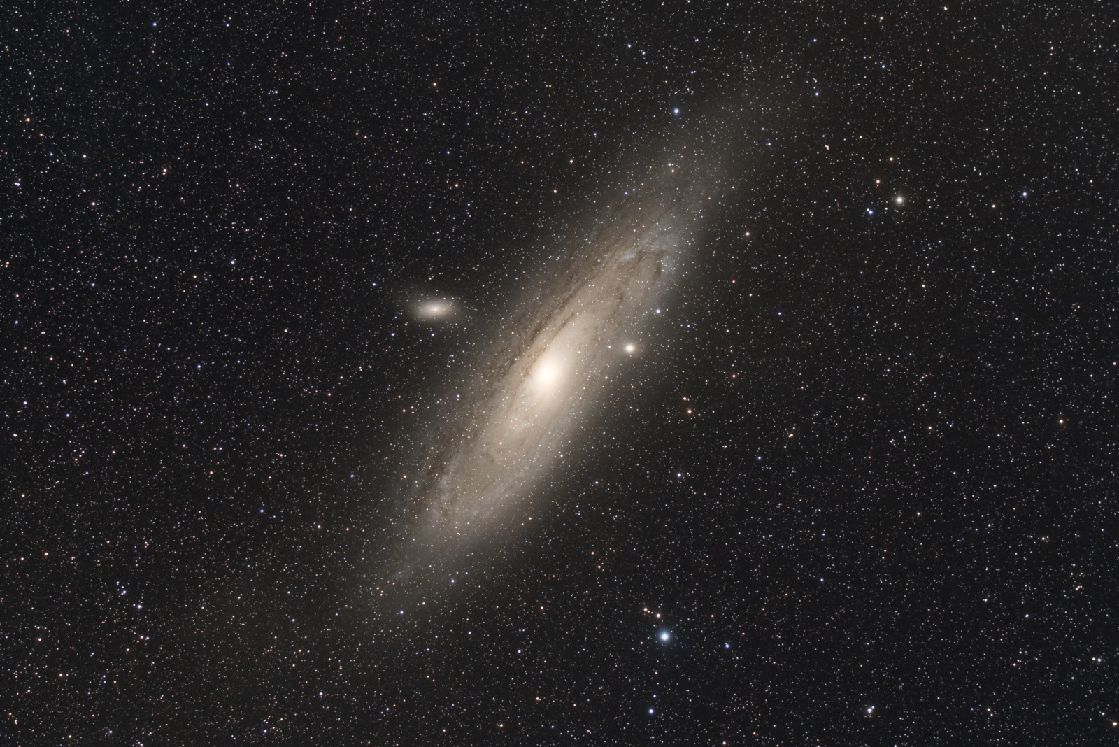 La grande M31 dans Andromède M31_3010