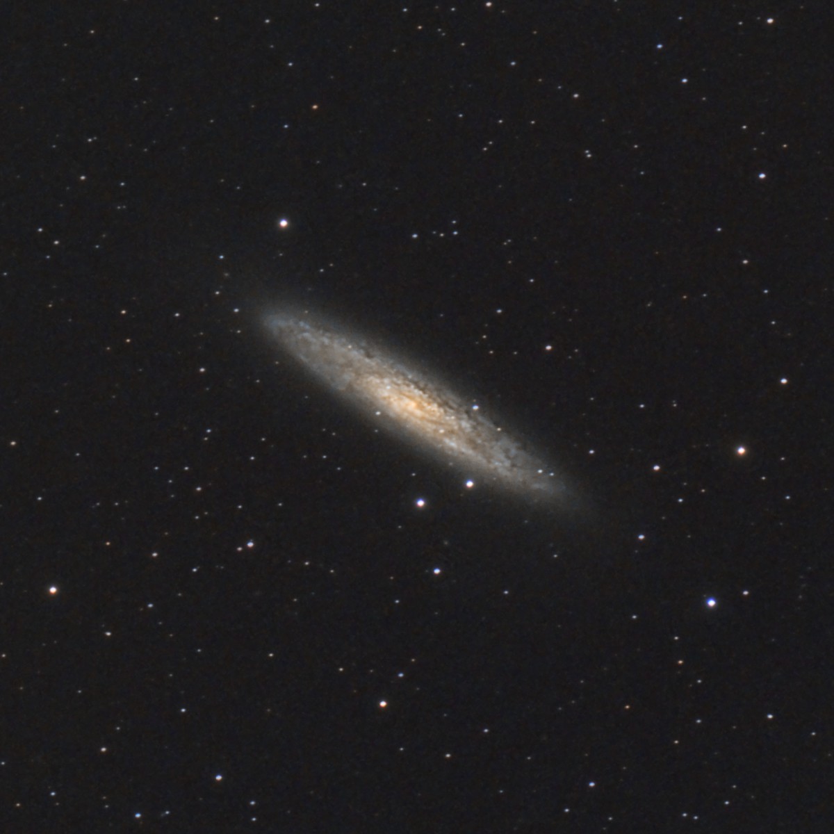La galaxie du sculpteur N253_a10