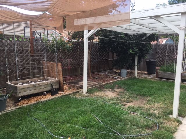 Sanderson's Urban SFG in Fresno, California - Page 7 Compos35