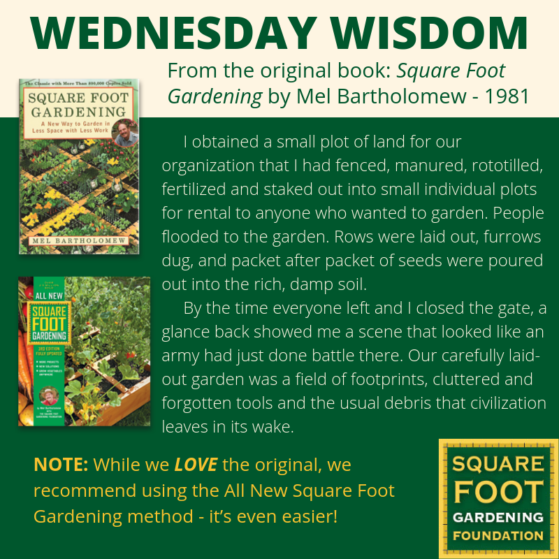 Wednesday Wisdom - SFG Foundation Founda14