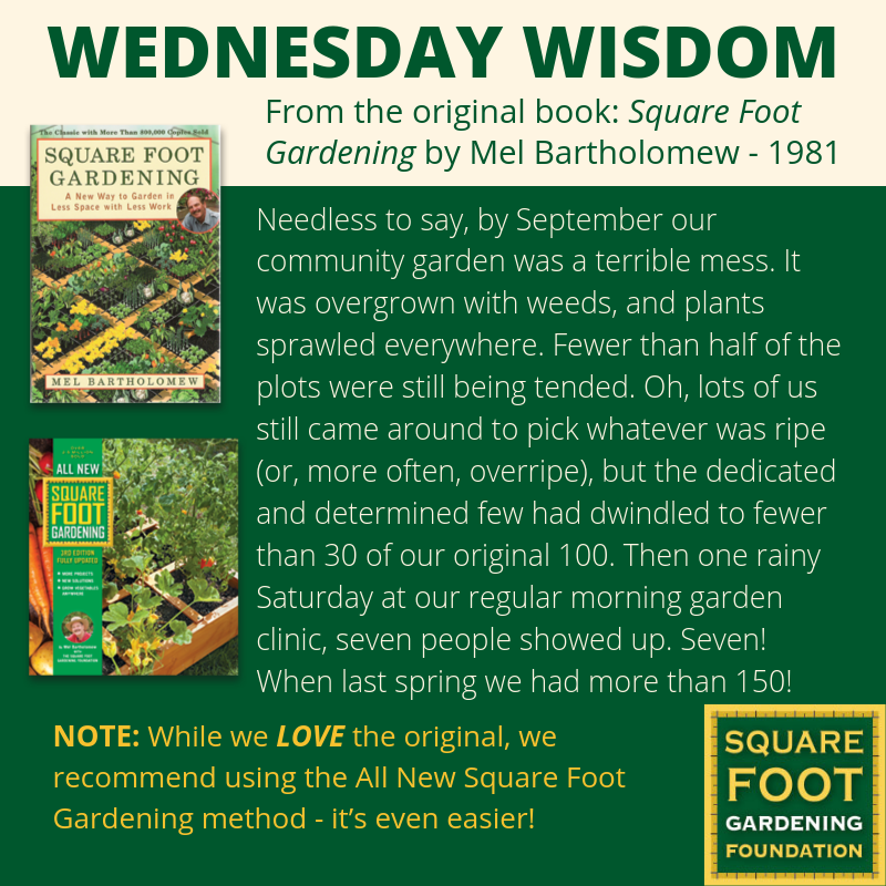 Wednesday Wisdom - SFG Foundation Founda17