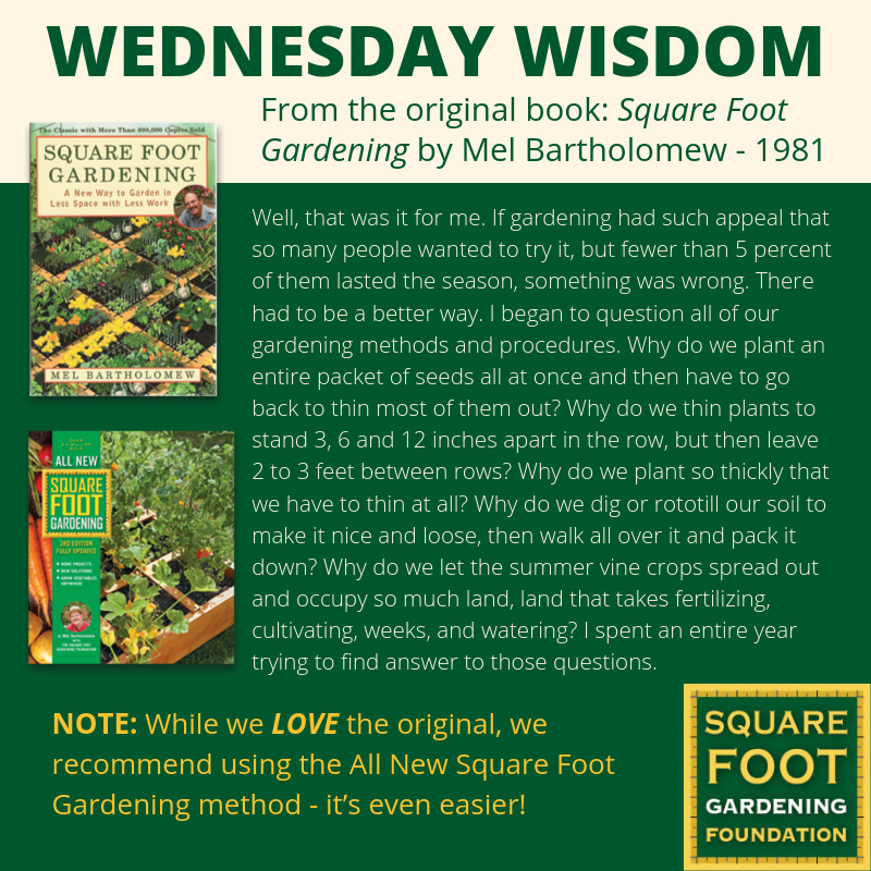 Wednesday Wisdom - SFG Foundation Founda18