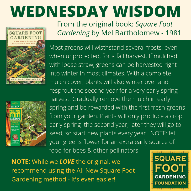 Wednesday Wisdom - SFG Foundation Founda21