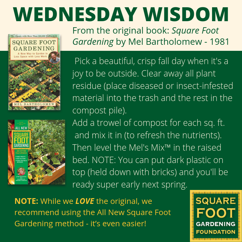 Wednesday Wisdom - SFG Foundation Founda22