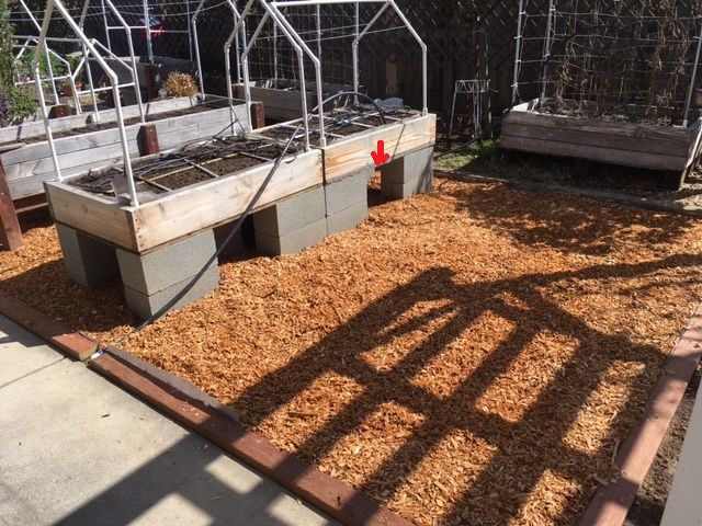 elevated raised bed over cemented area Garden98