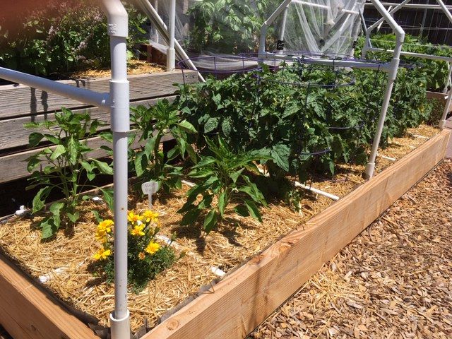 elevated raised bed over cemented area Garden99