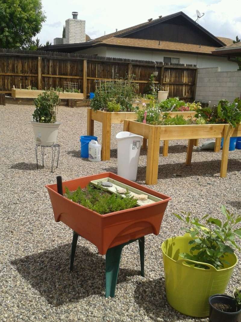 Raised beds and Mel's Mix in arid climates? Table_96