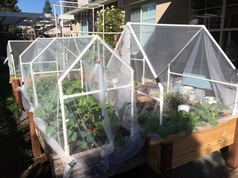 What is the best mesh netting for bug proofing? Winter26