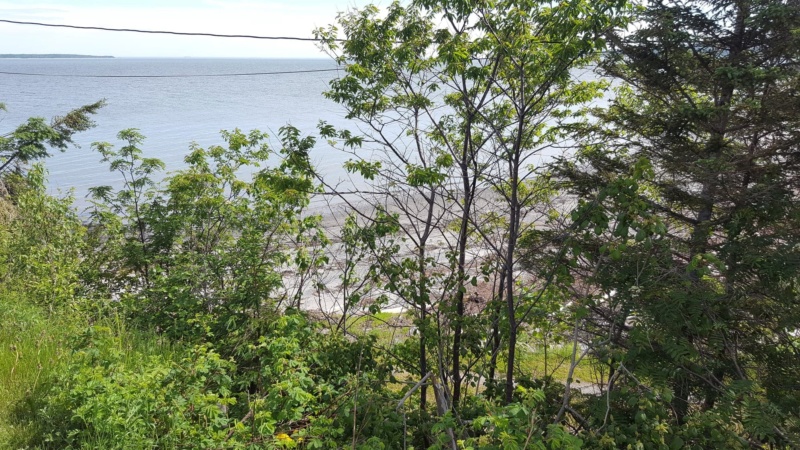 Une fin de semaine à Trois-Pistoles au camping des flots bleu sur mer Receiv20