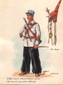 Planches uniformes Armée Française.... - Page 3 Sahari12