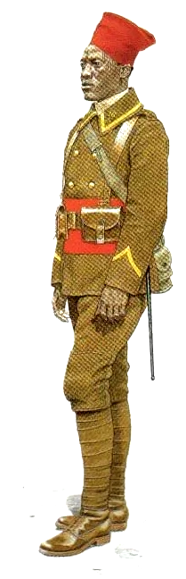 Planches uniformes Armée Française.... - Page 2 Tirail12