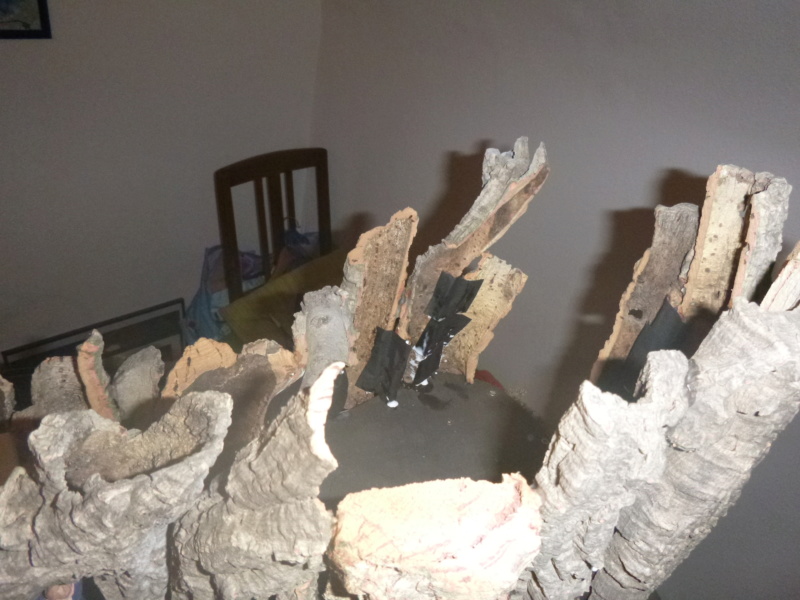 Nellie Rowland Emett Smallbrook Studio Anlage mit 8Tunnels und Berg, Luftschiff - Seite 4 P1070825