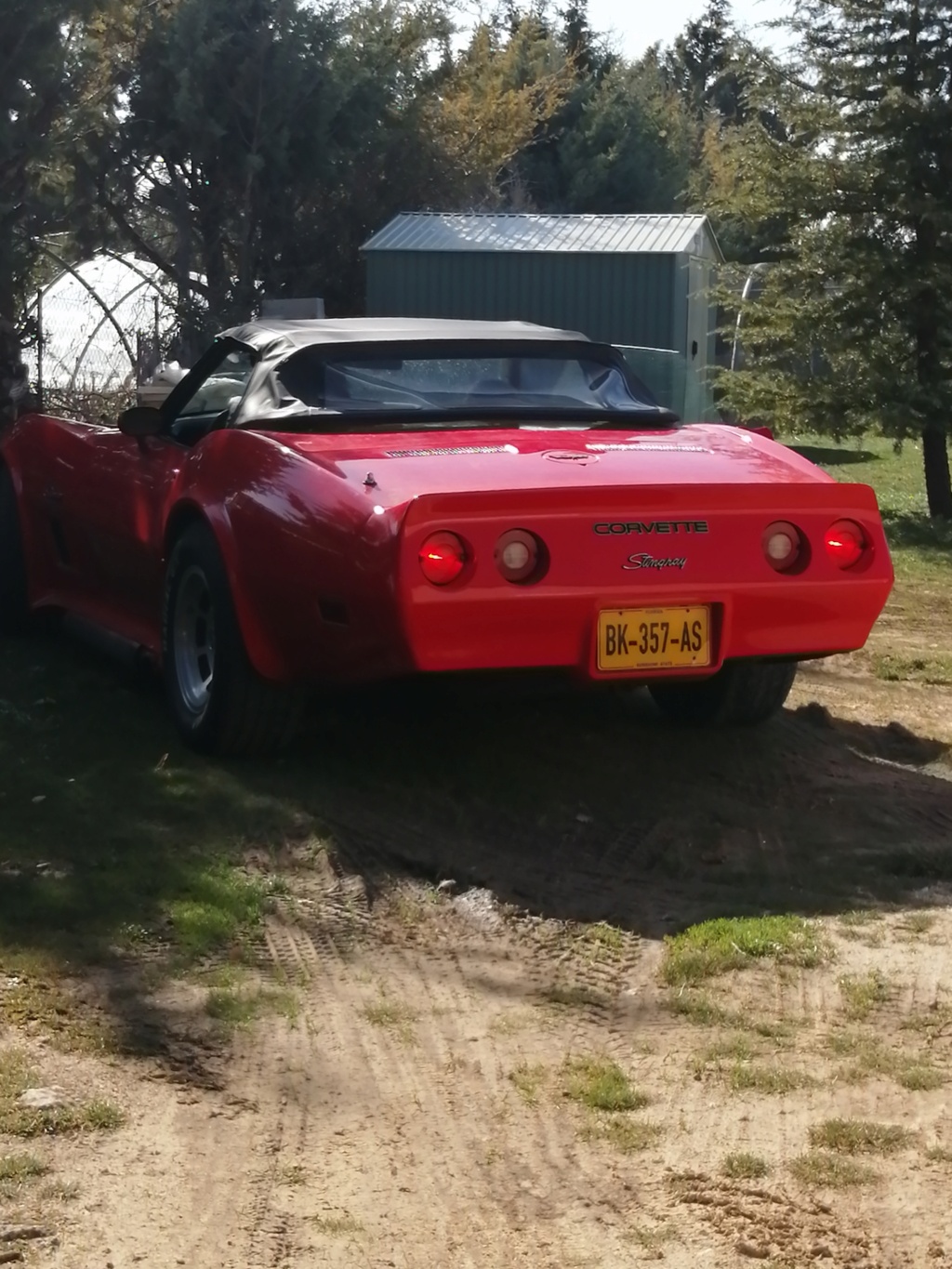 Avis sur cette Corvette cabriolet 1980  Img_2089