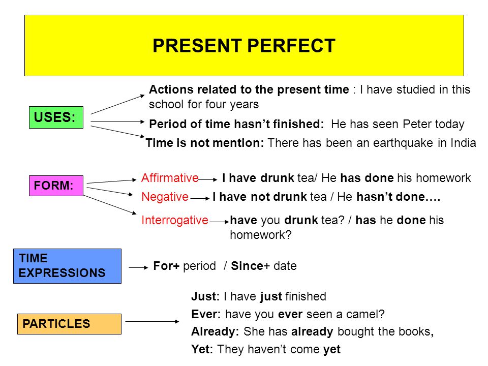 The present perfect Presen10