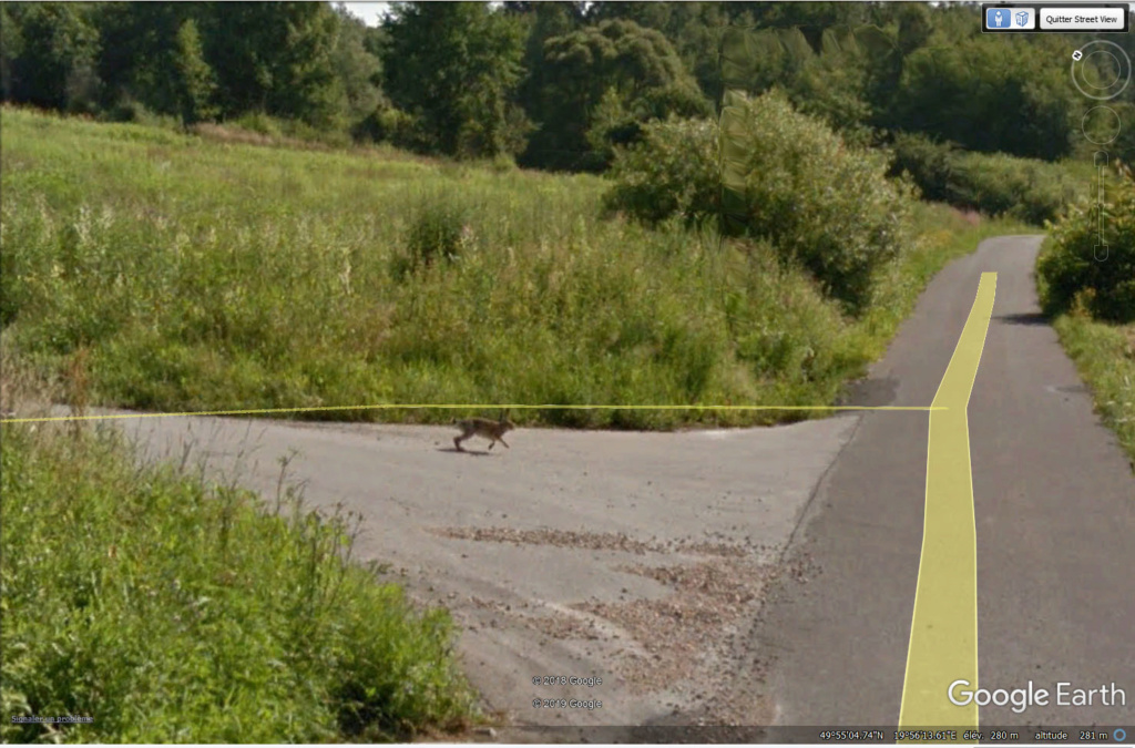 STREET VIEW : Le coup du lapin vu par la Google car... Lapin010